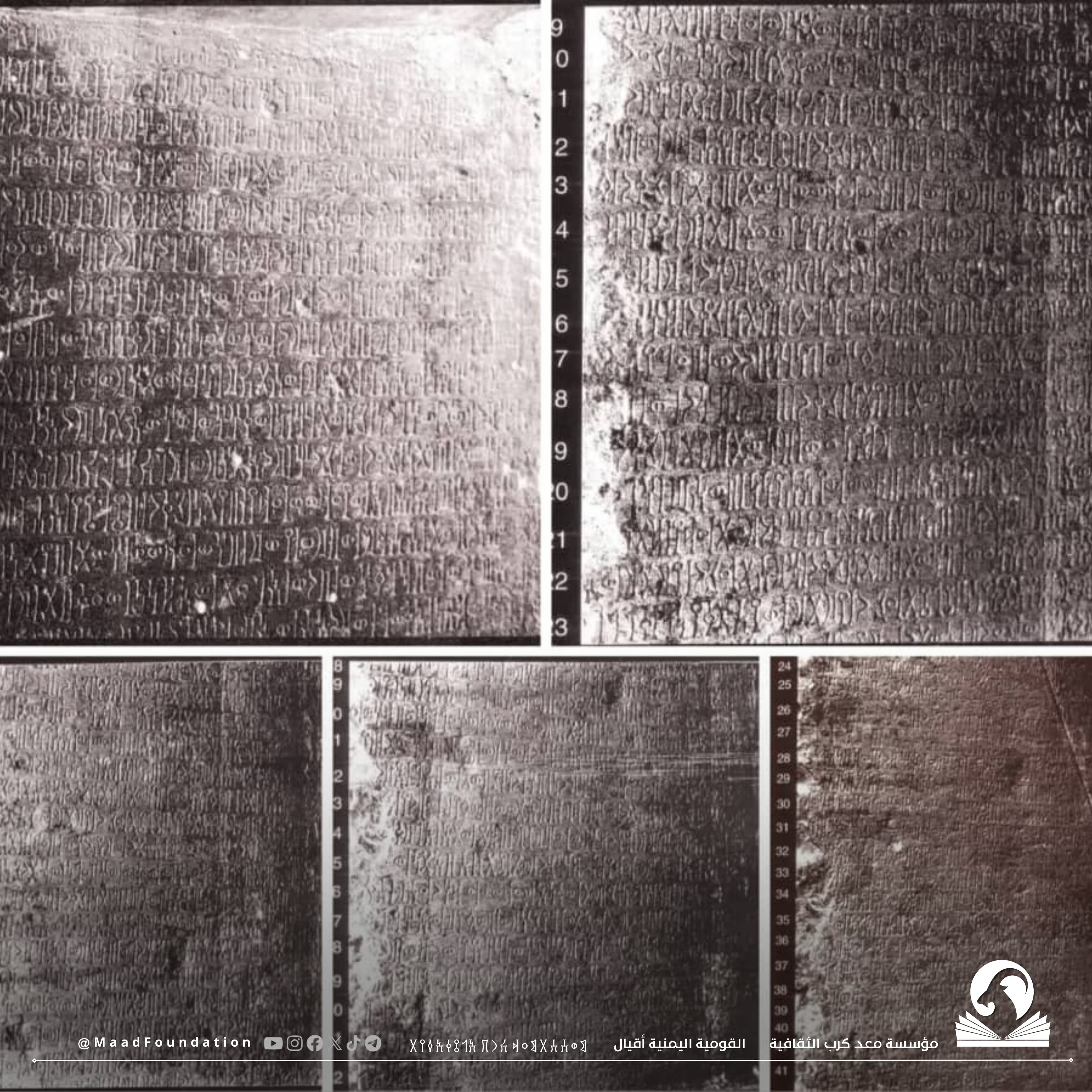 إخماد ملك سبأ شعرام تمرد العزيلط في حضرموت والزحف إلى قصر شقر لإنقاذ (ملاك حلك) ملكة حضرموت كما يذكر النقش رقم Ir 13